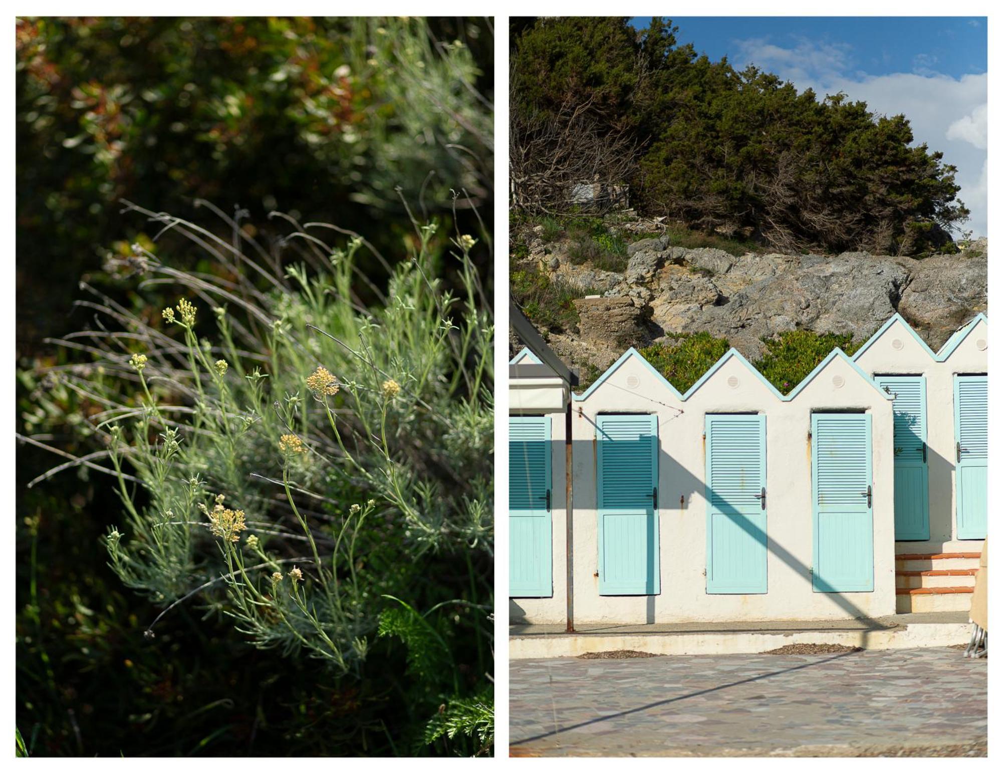 La Casa Di Marco, Holidays, Sea And Nature Montiano  Εξωτερικό φωτογραφία